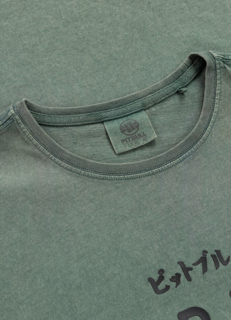 T-shirt PIT BULL Denim Washed MT.FUJI sage green
