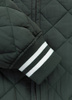 Kurtka PIT BULL JUPITER dark green