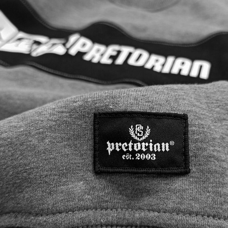 Bluza PRETORIAN FIGHT DIVISION prosta szara