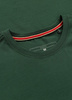 T-shirt PIT BULL SAN DIEGO CA SMALL LOGO bottle green