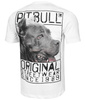 T-shirt PIT BULL ORIGIN biały