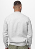 Bluza PIT BULL SO CAL szara prosta