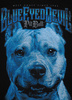 T-shirt PIT BULL I AM BLUE czarny