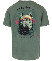 T-shirt PIT BULL Denim Washed MT.FUJI sage green