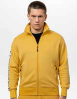 Bluza PIT BULL OLDSCHOOL POWERS żółta (pale yellow) stójka