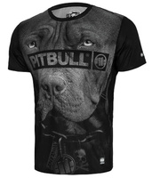 Koszulka sportowa PIT BULL MESH BORN IN 1989 czarna krótki rękaw