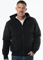 Kurtka/softshell PIT BULL YORK czarny