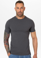 T-shirt PIT BULL MINIMAL 190 spandex grafitowy