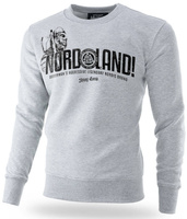 Bluza DOBERMANS NORDLAND BC284 szara prosta