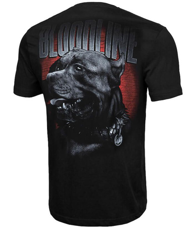 T-shirt PIT BULL BLOODLINE czarny